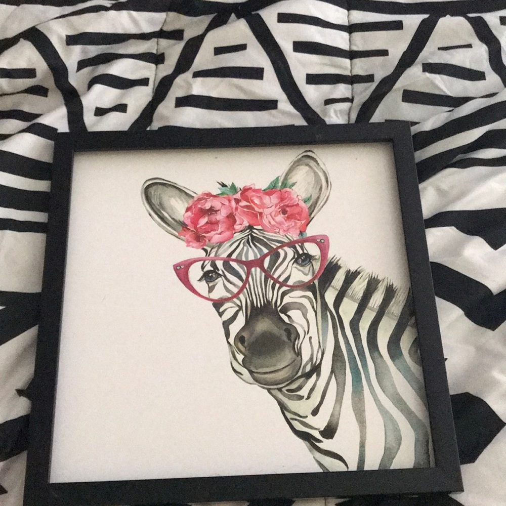 Zebra Picture